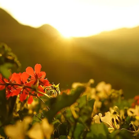 Gasthof Bergschenke Krin * Кірхберг