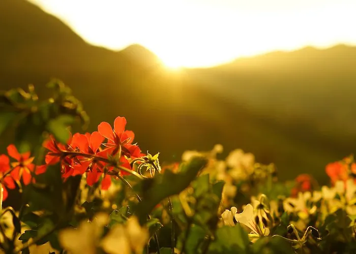 Gasthof Bergschenke Krin * Kirchberg en Tyrol